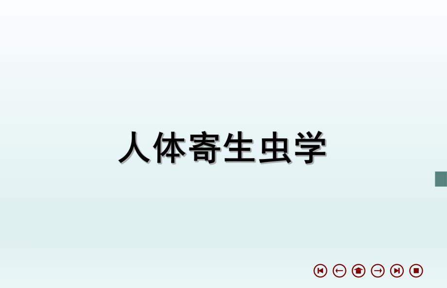 蠕形住肠线虫.ppt_第1页