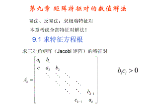 计算方法九.ppt