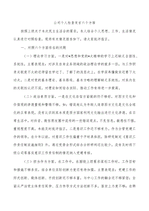 公司个人检查发言六个方面.docx