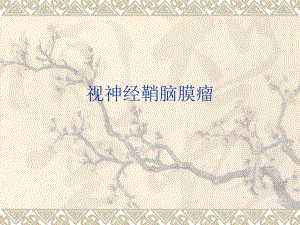 视神经鞘脑膜瘤.ppt