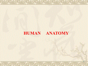 解破学21总论.ppt