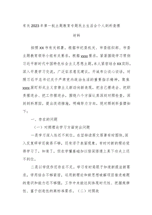 有关2023年第一批主题教育专题民主生活会个人剖析查摆材料.docx