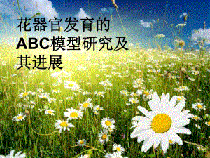 花器官的ABC模型.ppt