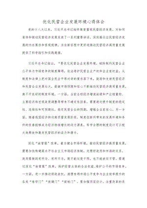 优化民营企业发展环境心得体会.docx