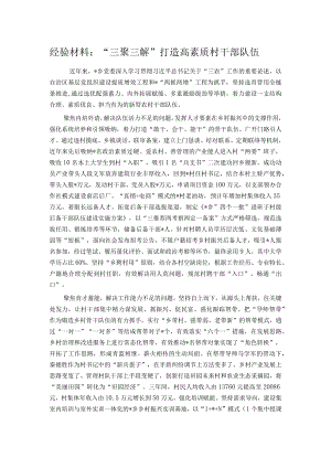 经验材料：“三聚三解”打造高素质村干部队伍.docx