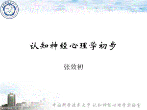 认知心理学简介.ppt