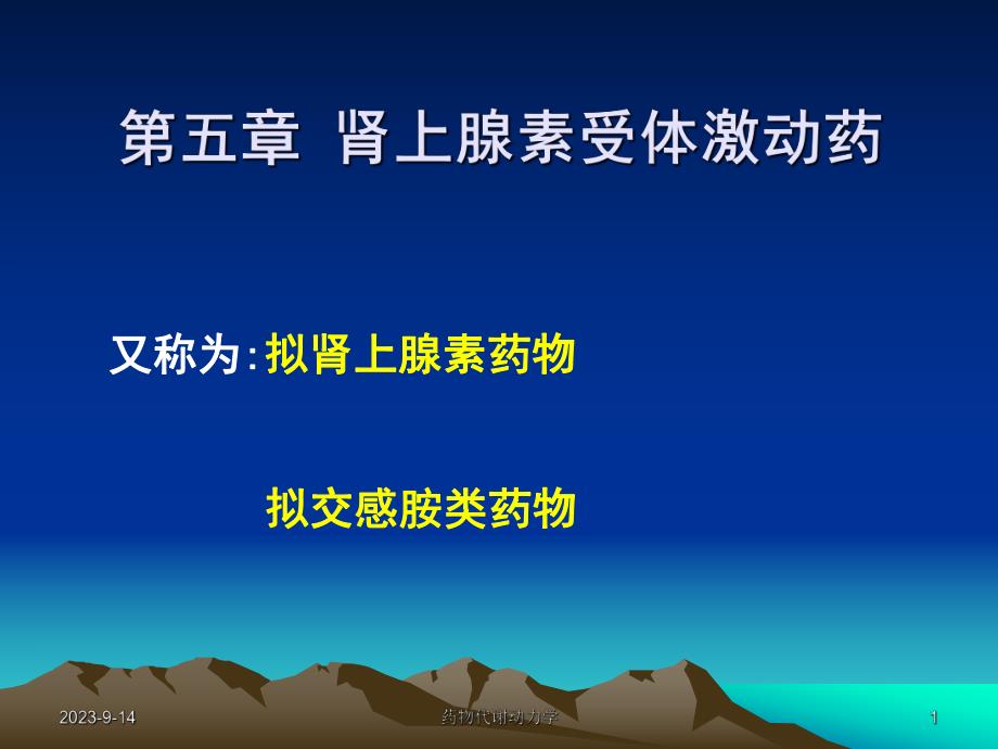 西医药理学第5章肾上腺素受体激动药.ppt_第1页
