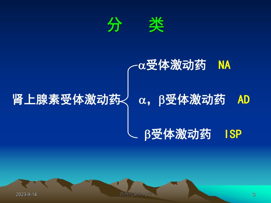 西医药理学第5章肾上腺素受体激动药.ppt_第3页