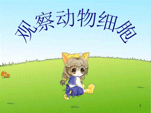 观察动物细胞753.ppt