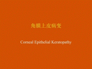 角膜上皮病变.ppt