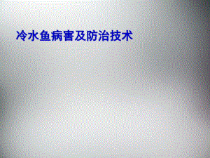 虹鳟鱼疾病的防治修改.ppt