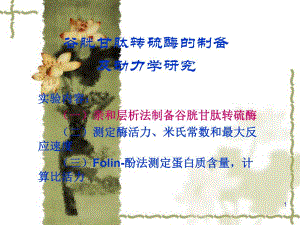 谷胱甘肽转硫酶的制备.ppt