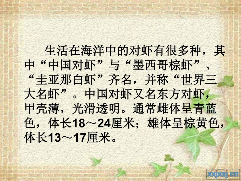 虾蟹的生活史及洄游.ppt_第3页