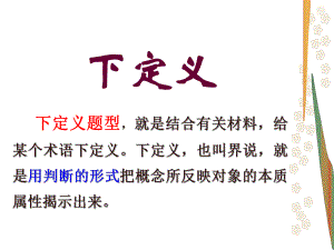 语言应用之下定义.ppt