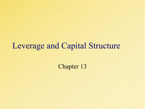 财务管理课件chap013.ppt