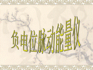 负电位脉动能量仪ppt课件.ppt