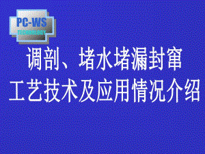 调剖堵水多媒体.ppt