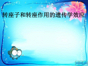 转座子和转座作用的遗传学效应dps.ppt