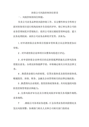 担保公司风险控制岗位职责.docx