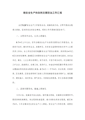 镇安全生产和自然灾害防治工作汇报.docx