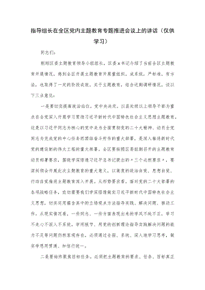 指导组长在全区党内主题教育专题推进会议上的讲话.docx
