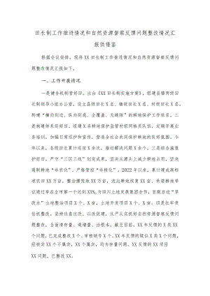 田长制工作推进情况和自然资源督察反馈问题整改情况汇报供借鉴.docx