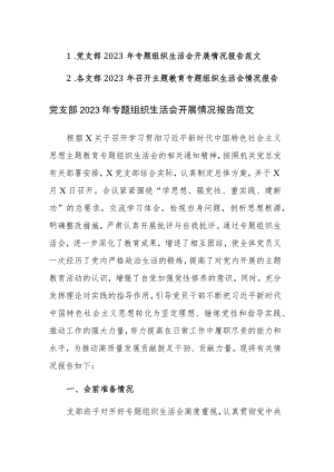 支部2023年专题组织生活会开展情况报告范文2篇.docx
