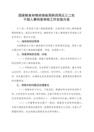 档案审核工作方案.docx
