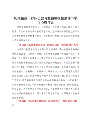 纪检监察干部队伍教育整顿检视整治环节学习心得体会.docx