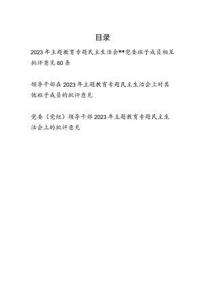 党委党组班子成员领导干部2023年主题教育专题民主生活会相互批评意见汇编.docx