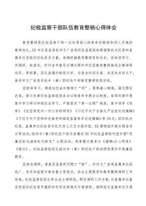 (7篇)纪委委员关于纪检监察干部队伍教育整顿研讨发言稿.docx