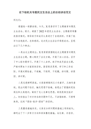 在下级机关专题民主生活会上的总结讲话范文.docx