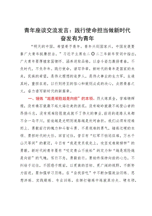 青年座谈交流发言：践行使命担当做新时代奋发有为青年.docx