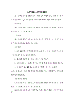 阳光分班工作实施方案二.docx