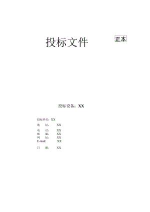 XX项目投标文件皮（202X年）.docx