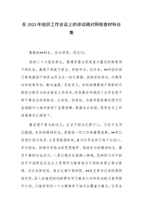 在2023年组织工作会议上的讲话稿对照检查材料合集.docx