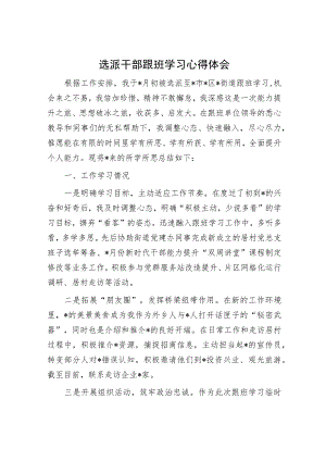 选派干部跟班学习心得体会.docx