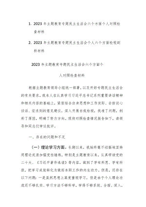 两篇：2023年主题教育专题民主生活会六个方面个人对照检查检视剖析材料.docx