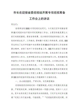 市长在迎接省委巡视组开展专项巡视筹备工作会上的讲话.docx