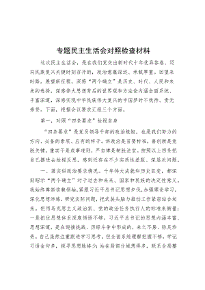 专题民主生活会对照检查材料.docx