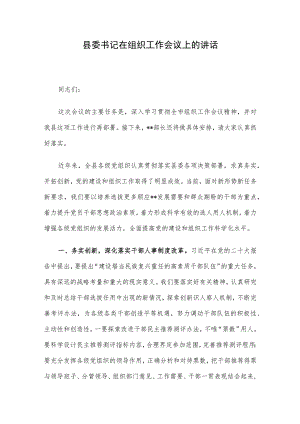 县委书记在组织工作会议上的讲话.docx