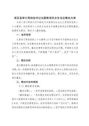 某区县审计局党组书记主题教育民主生活会整改方案.docx
