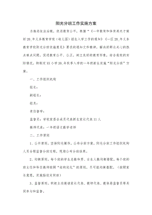 阳光分班工作实施方案一.docx