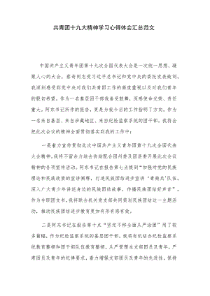 共青团十九大精神学习心得体会汇总范文.docx