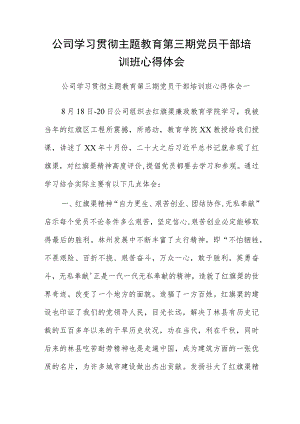 公司学习贯彻主题教育第三期党员干部培训班心得体会.docx
