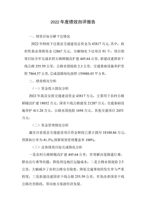 2022年度绩效自评报告.docx