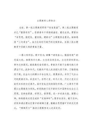 主题教育心得体会.docx