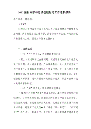 2023某村支部书记抓基层党建工作述职报告.docx
