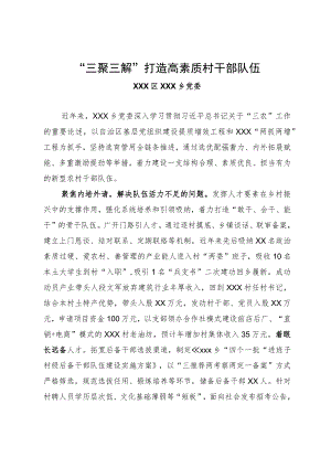 全市组织工作会议发言—乡党委：“三聚三解”打造高素质村干部队伍.docx