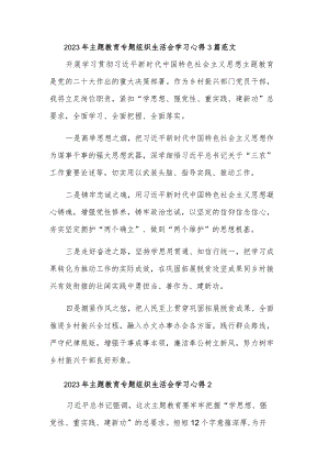 2023年主题教育专题组织生活会学习心得3篇范文.docx